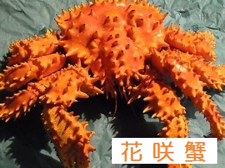 花咲蟹